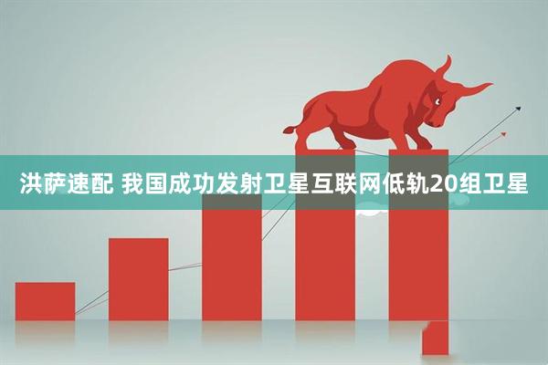 洪萨速配 我国成功发射卫星互联网低轨20组卫星
