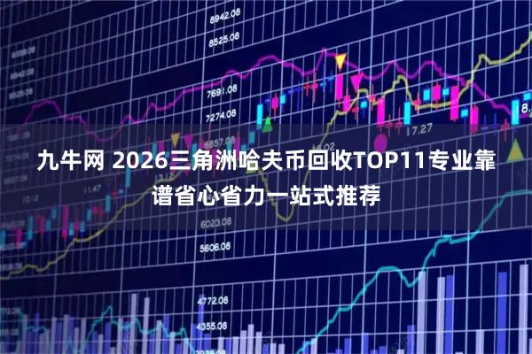 九牛网 2026三角洲哈夫币回收TOP11专业靠谱省心省力一站式推荐