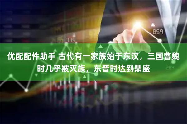 优配配件助手 古代有一家族始于东汉，三国曹魏时几乎被灭族，东晋时达到鼎盛