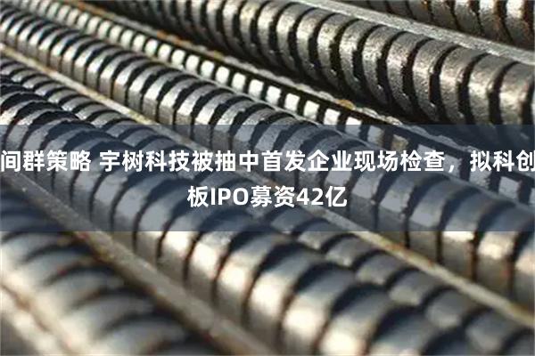 间群策略 宇树科技被抽中首发企业现场检查，拟科创板IPO募资42亿