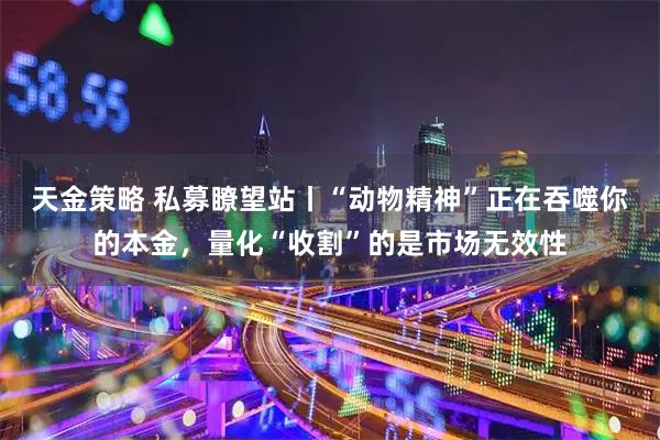 天金策略 私募瞭望站丨“动物精神”正在吞噬你的本金，量化“收割”的是市场无效性