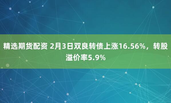 精选期货配资 2月3日双良转债上涨16.56%,转股溢价率5.9%