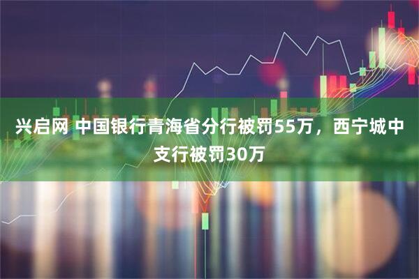 兴启网 中国银行青海省分行被罚55万,西宁城中支行被罚30万