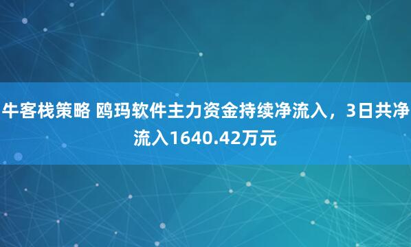 牛客栈策略 鸥玛软件主力资金持续净流入，3日共净流入1640.42万元