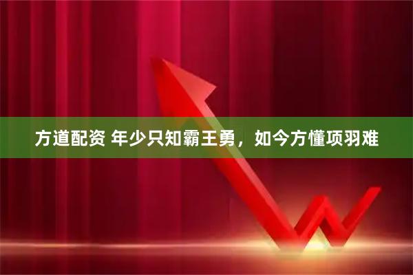 方道配资 年少只知霸王勇,如今方懂项羽难