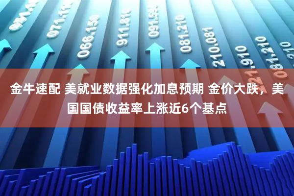 金牛速配 美就业数据强化加息预期 金价大跌，美国国债收益率上涨近6个基点