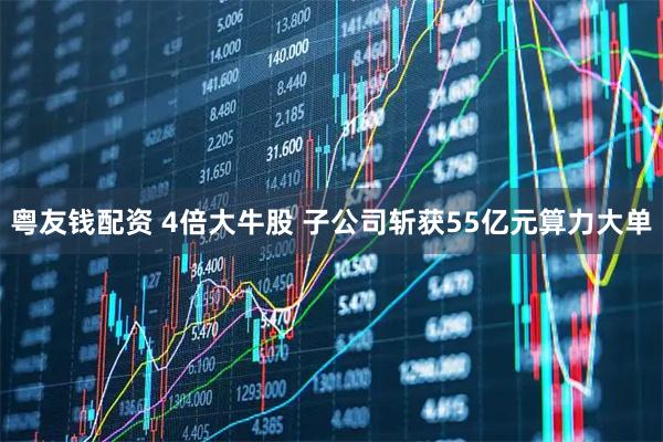 粤友钱配资 4倍大牛股 子公司斩获55亿元算力大单